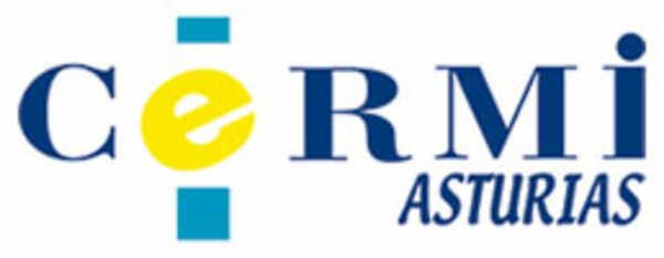 /fotos/Logo CERMI Asturias